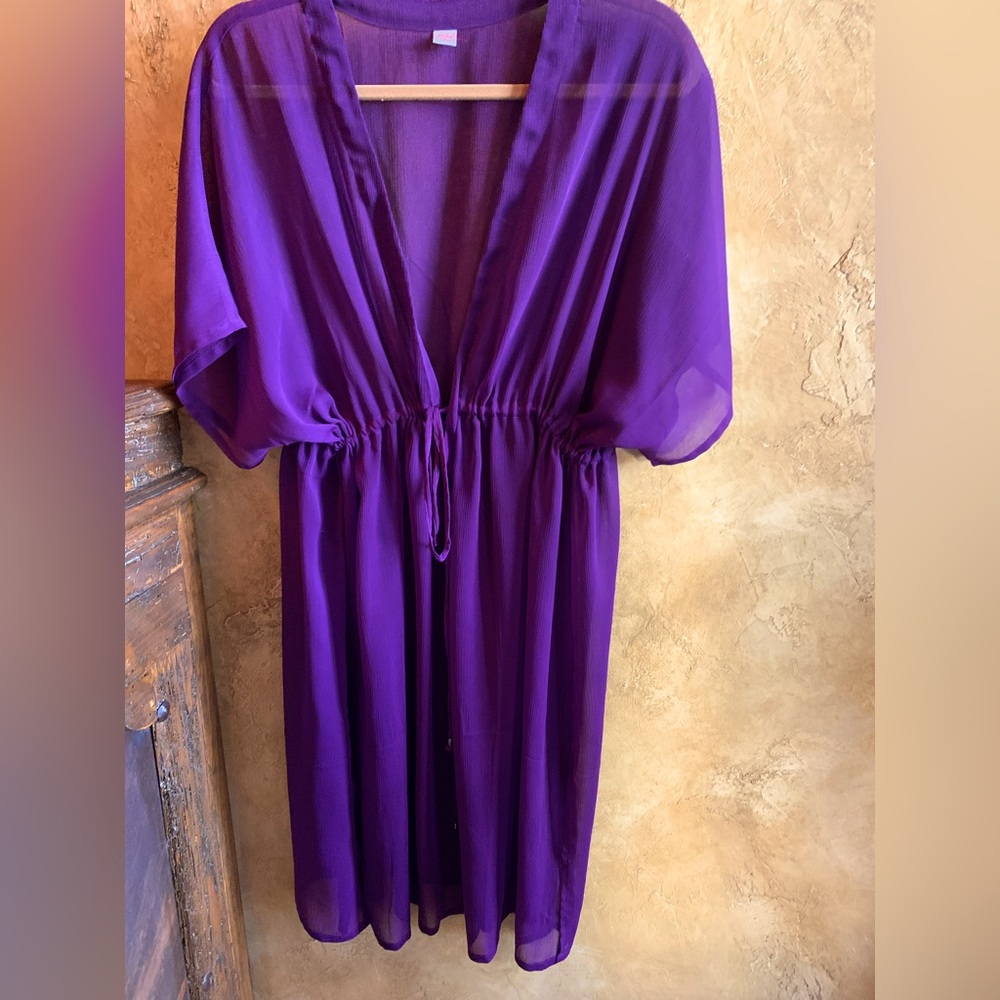Anita coverup